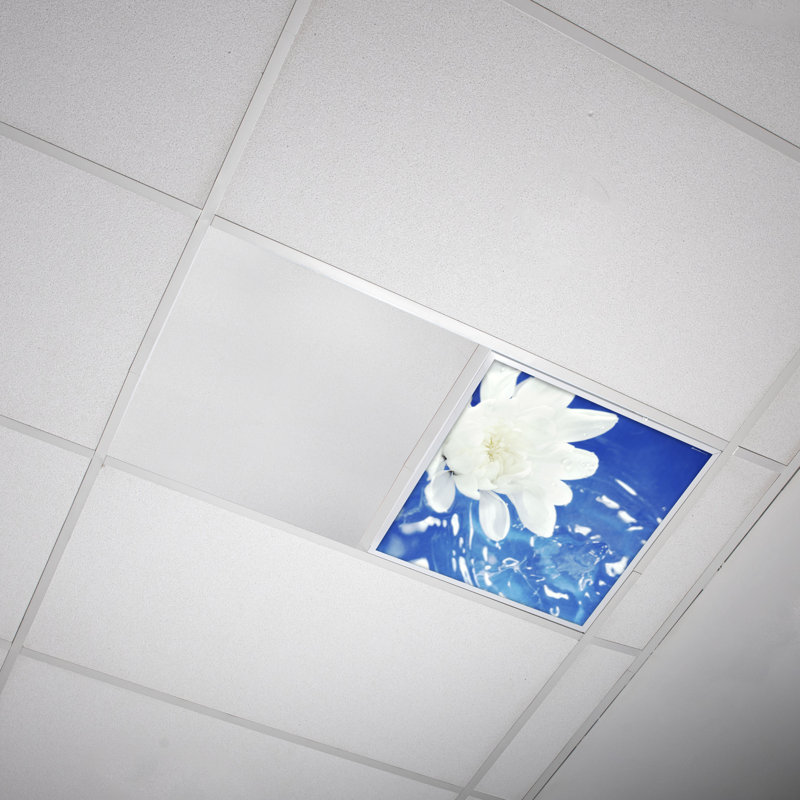 Flower Square Fixture Component Ceiling Light