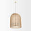 Thad 4 - Light Chandelier