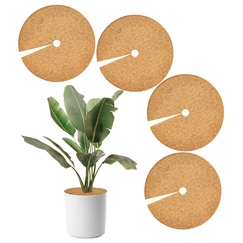 4 anneaux de paillis en fibre de noix de coco 4 pièces, tapis de protection en coco naturel de 30 cm pour les plantes d'intérieur / extérieur et l'aménagement paysager