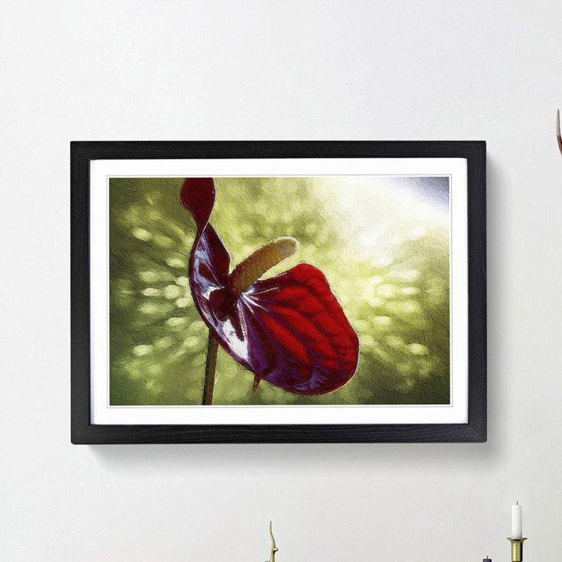 Red Anthurium Flower - Picture Frame Photograph Print, 36cm H x 48cm W x 2cm D, Black Framed