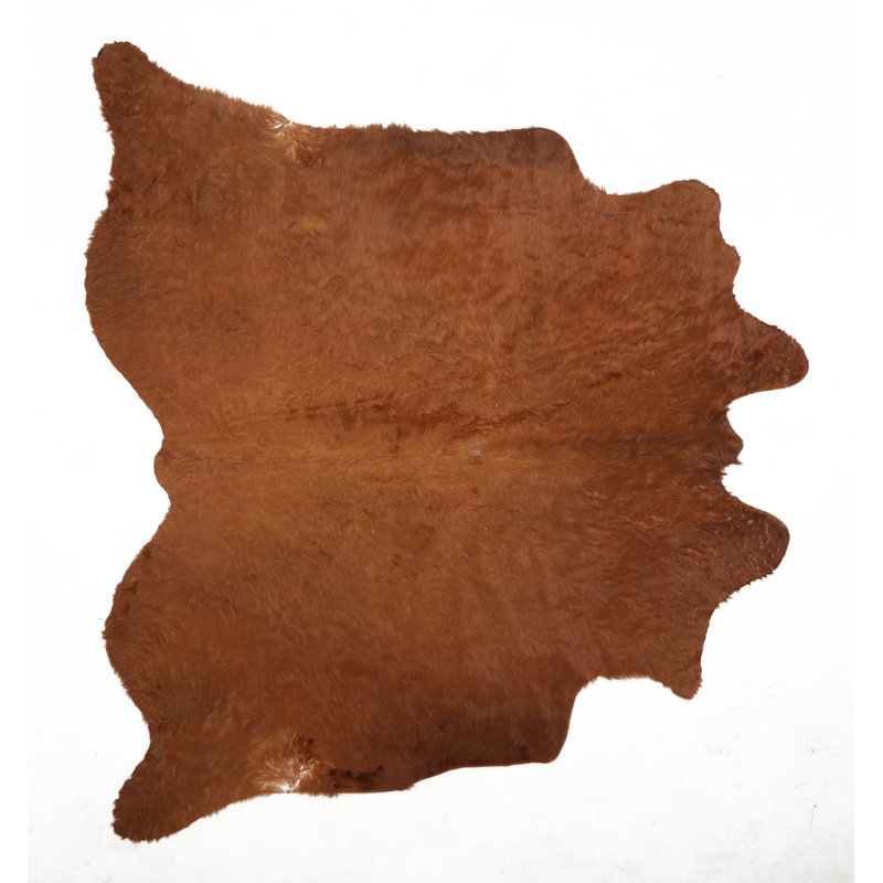 Oakham One-of-a-Kind 5'9" x 6'7" Area Rug in Brown