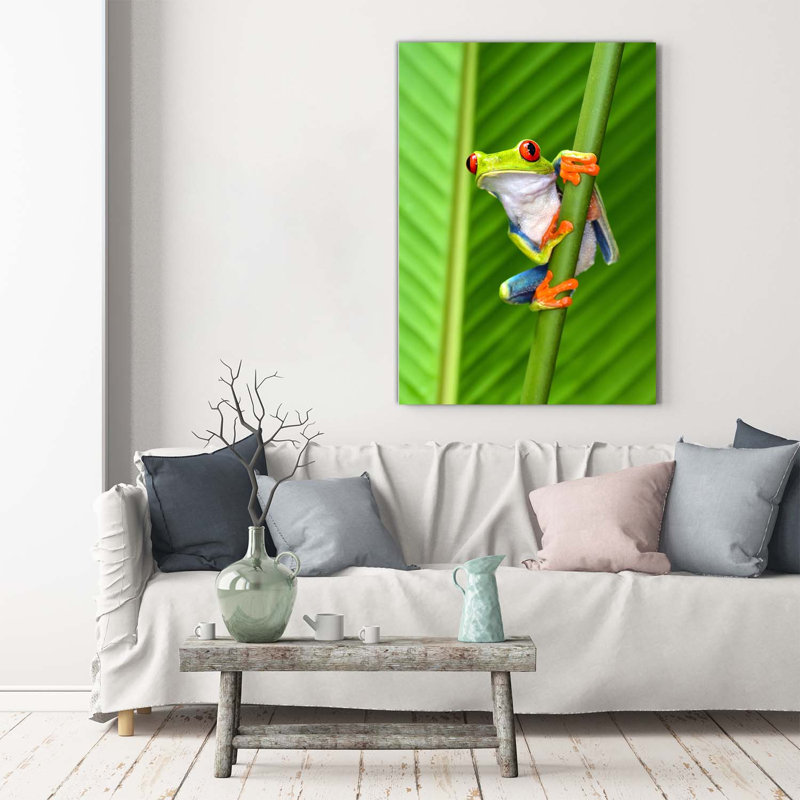 Tree Frog - Wrapped Canvas Print