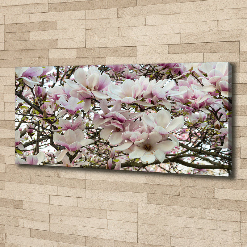 Magnolia Flowers - Wrapped Canvas Print, Canvas, 50cm H x 125cm W
