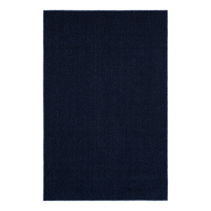 Chesire Indoor/Outdoor Area Rug, Rectangle 4'1" x 6'1"