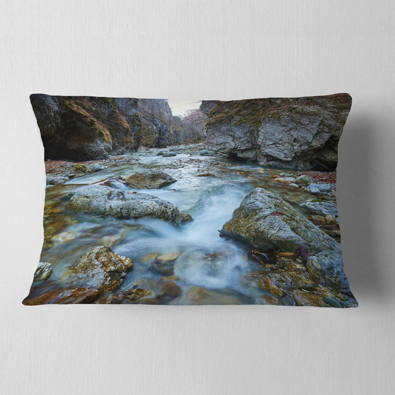 Coussin Schafer