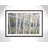 Musgrave Hidden Birch' Framed Print