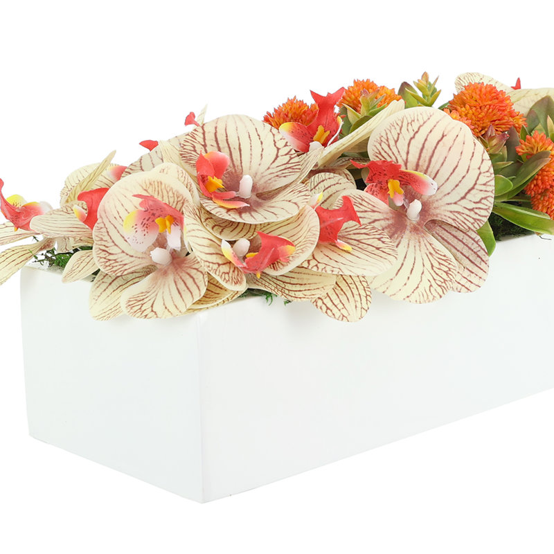 Orchidée et Sedum disposés en pot de fibres, 7.5" H x 18.5" W x 9" D, Orange