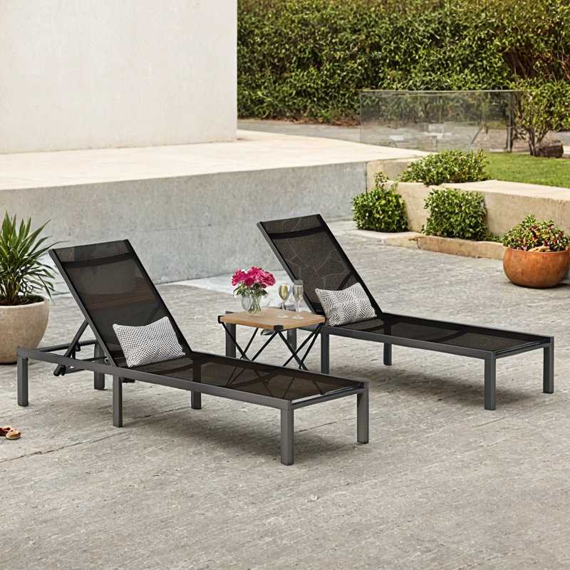 Chaise longue d'extérieur (ensemble de 2)