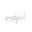 Structure de lit double en métal avec tête et pied de lit à motif floral, lit plateforme en acier blanc, aucun sommier nécessaire