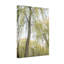 «Willow Tree Spring Landscape», ensemble de 1 reproduction d'art sur toile tendue-1566911806
