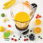 Quest Nutri -Q Blender with Coffee Grinder