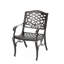 Chaise avec accoudoirs Phoenix (ensemble de 2)-1103591486