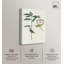 Art botanique par Art Remedy, impression sur toile-119378757-119378754