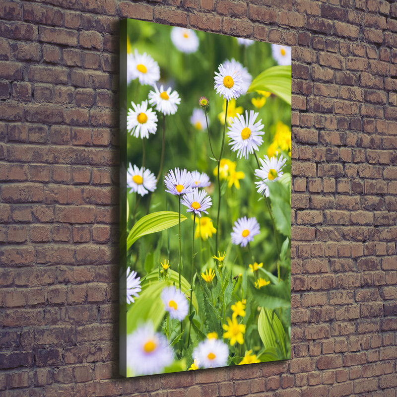 Colourful Balloons - Wrapped Canvas Print