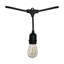 24 Ft. Indoor / Outdoor 12-Bulb Standard LED String Light