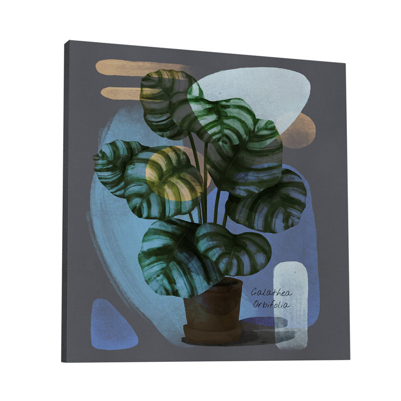 " Abstract Calathea Orbifolia " Painting Print, 36" H x 36" W x 1.5" D