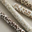 Iconic Leopard Wallpaper-69259196