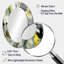Sanetra Dynamic Waveforms I - miroir scandinave, miroir mural vert unique, impression d'art en métal-315507588-315507611