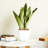 2-Pack Smart Self-Watering Planter Pot For Indoor And Outdoor-1104905437