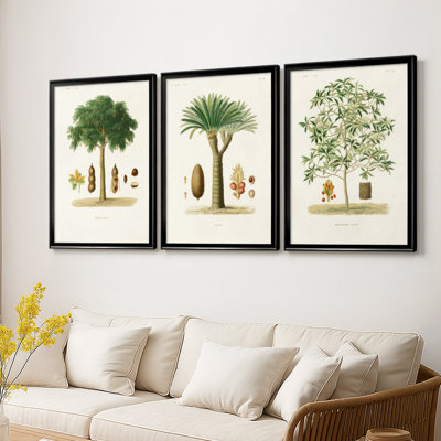 Arbre antique avec fruit - galerie d'art sur toile tendue encadrée sur mesure - 3 pièces