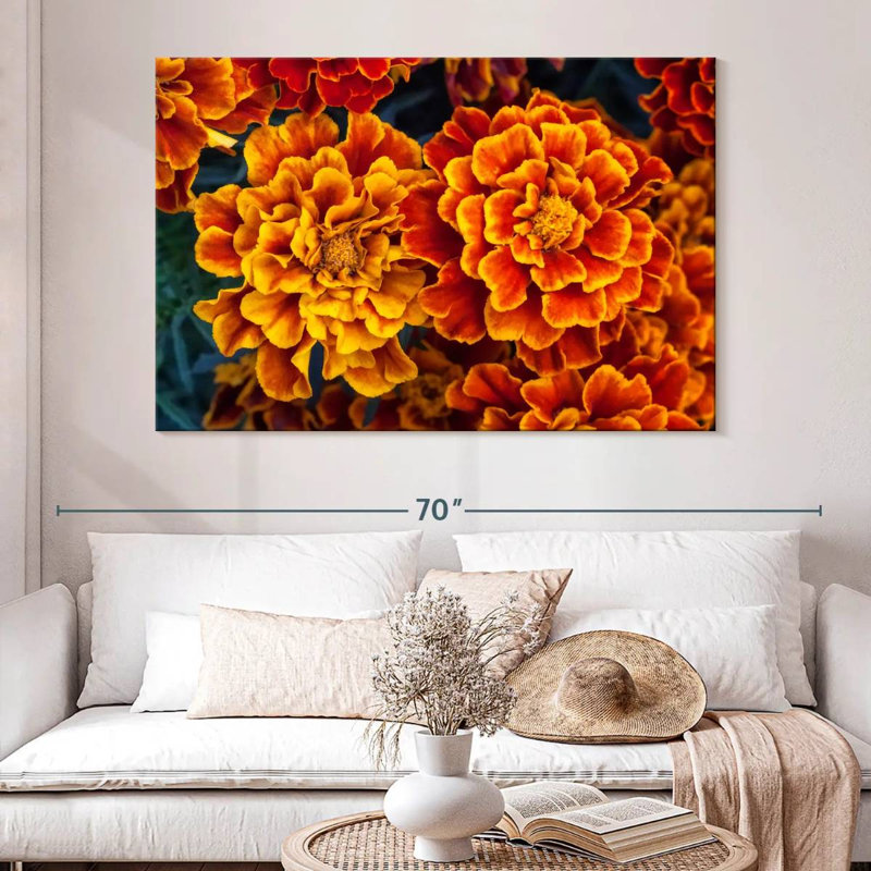 Fleurs de souci Harnek, H 34 po x l 51 po