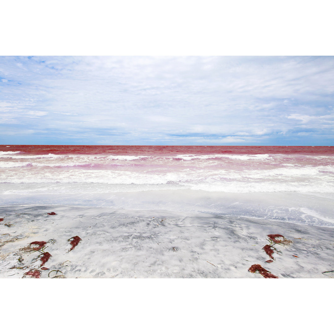 Red Tide Beach von TriggerPhoto - Druck ohne Rahmen auf Leinwand