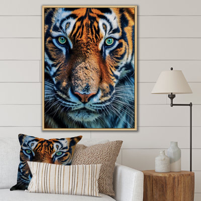 " Portrait of a Wild Tiger Nature Photography " Color Photography Print