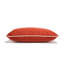 Indoor/Outdoor Pillow Cover & Insert-188736766-188736707