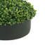 Boxwood 6" Artificial in Fiberstone Planter