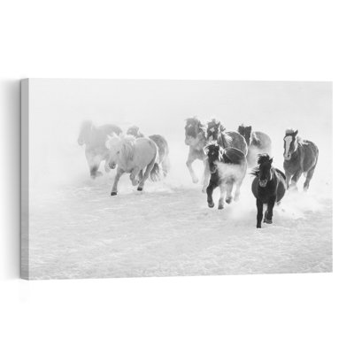 Chevaux sauvages au galop, cheval contemporain contemporain, impression d'art mural