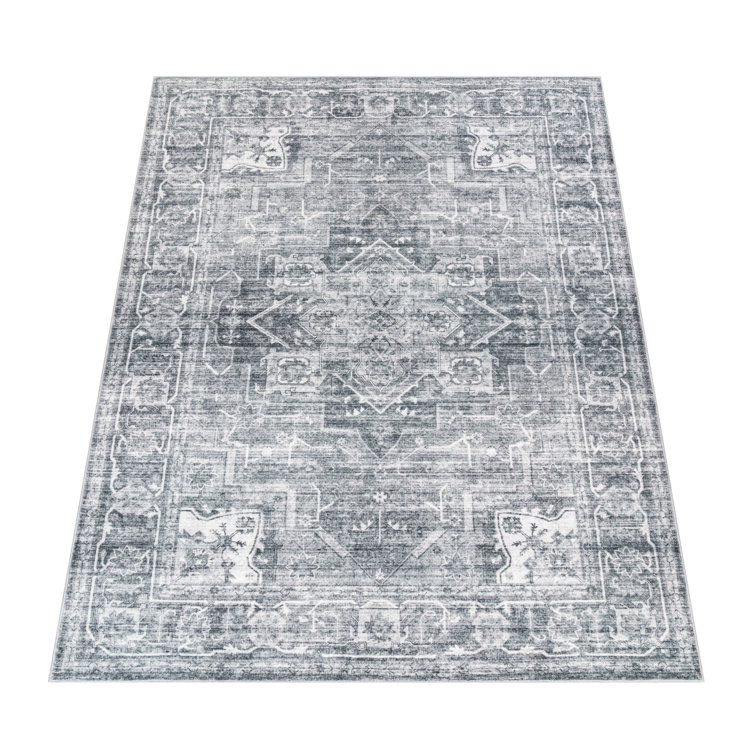 Chilcott Oriental Area Rug