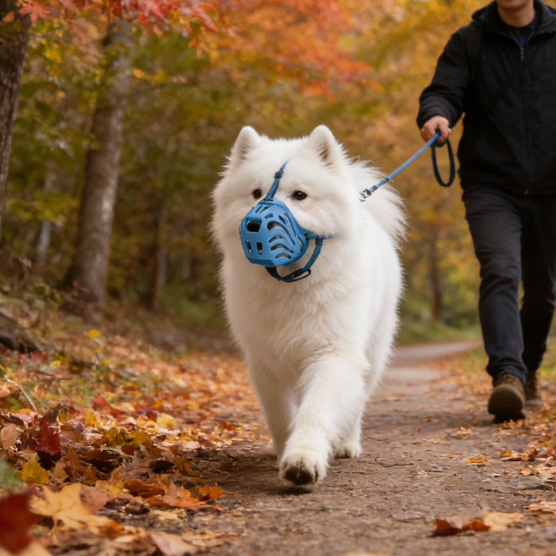 Museau de chien pour grands chiens respirant, bleu, Bleu
