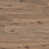 Hidden Hickory