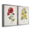 «Botanical III», ensemble de 2 reproductions d'impressions-568685741-568685781-568685740