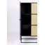 Guuji Accent Cabinet