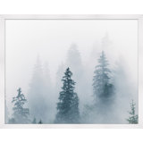 Misty Morning Hike 4 Print