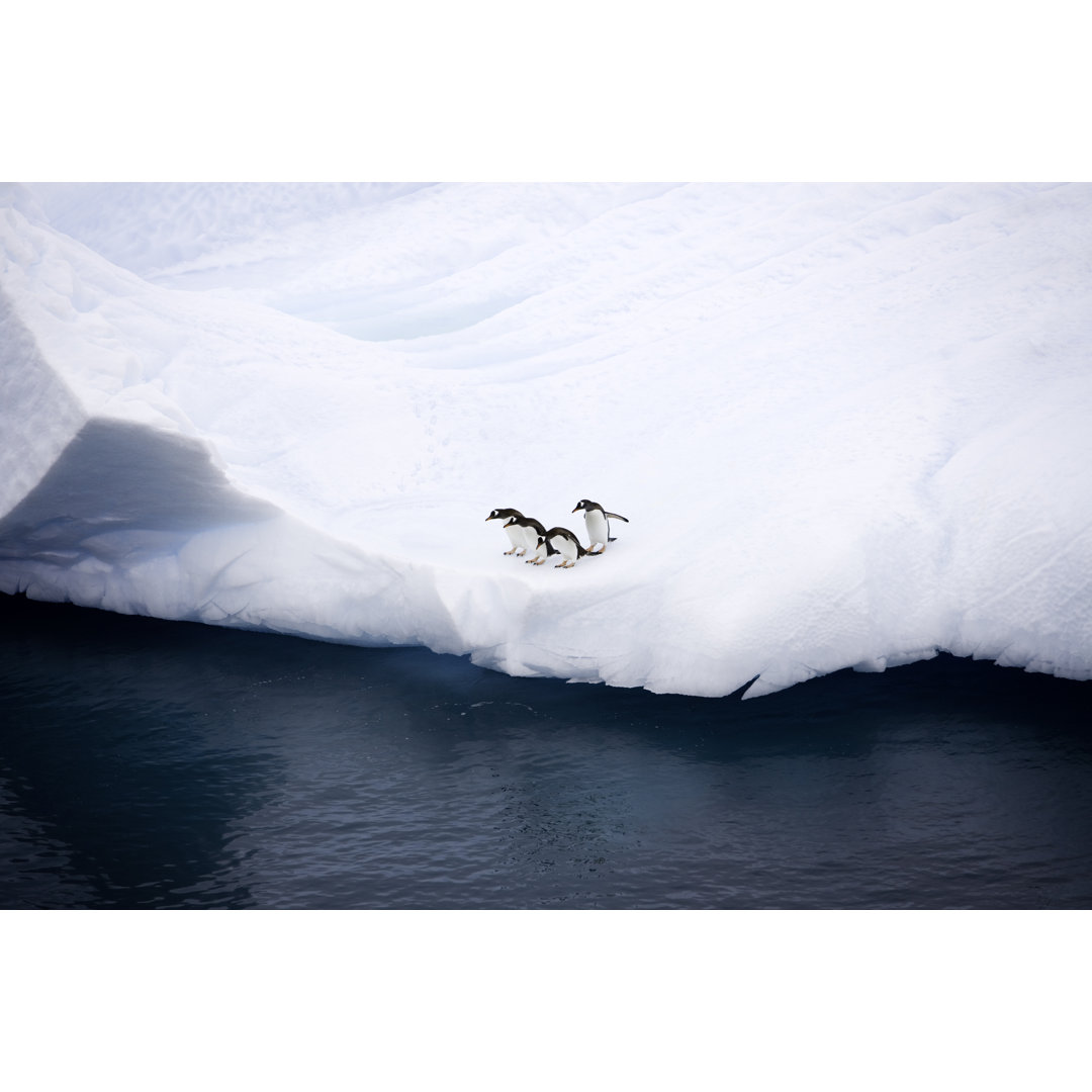 Pinguine auf Eisberg Antarktis von Mlenny - Leinwandbild