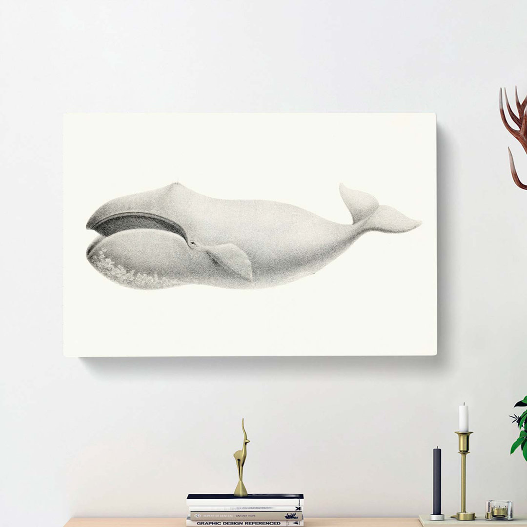 Bowhead Whale by C.M. Scammon - Wrapped Canvas