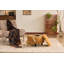 Tabouret ottoman en forme de vache des Highlands - Meuble pour chambre d'enfant, salle de jeux ou salon-2007473382