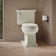 Memoirs Stately Continuousclean St Two-Piece Elongated Toilet with Concealed Trapway, 1.28 Gpf