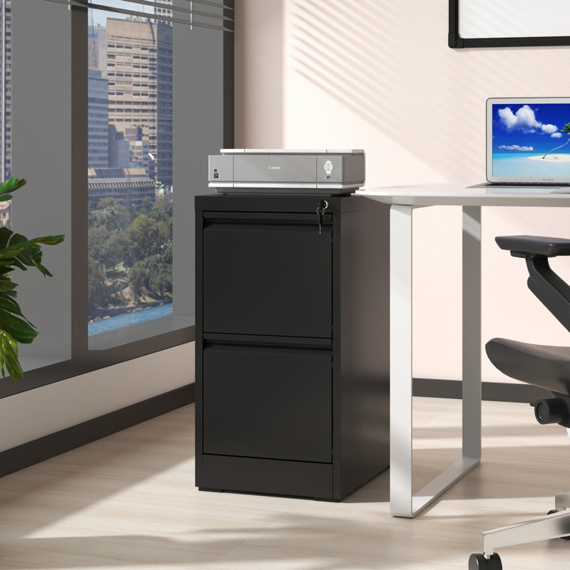 2 Drawer Metal Vertical File Cabinet With Lock Office Home Steel Vertical File Cabinet For A4 Legal/Letter Size, Black