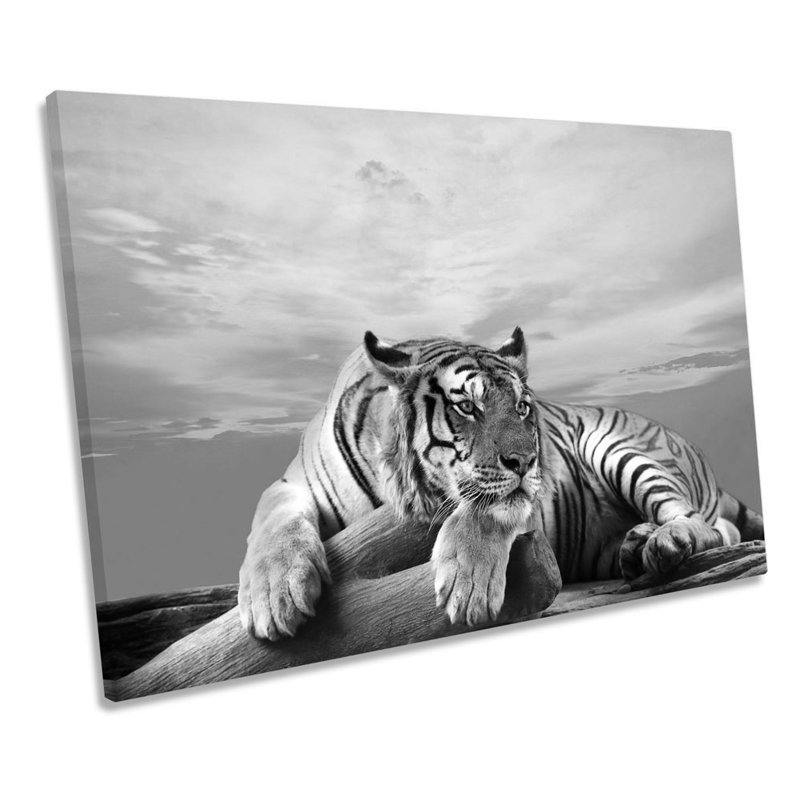 Tiger Sunset B&W - Wrapped Canvas Print, 91.4cm H x 137.2cm W x 4cm D