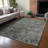 Machine Washable Indoor/Outdoor Chantille ACN2359 Traditional Rug-1030554461