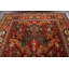 Tapis rouge en laine noué à la main de conception unique 9 pi 2 po x 11 pi 8 po