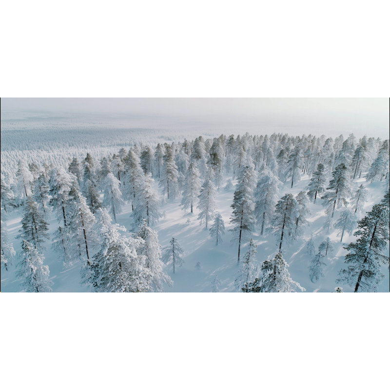 Art mural sur toile Silent Snowy Ridge, H 24 po x l 48 po