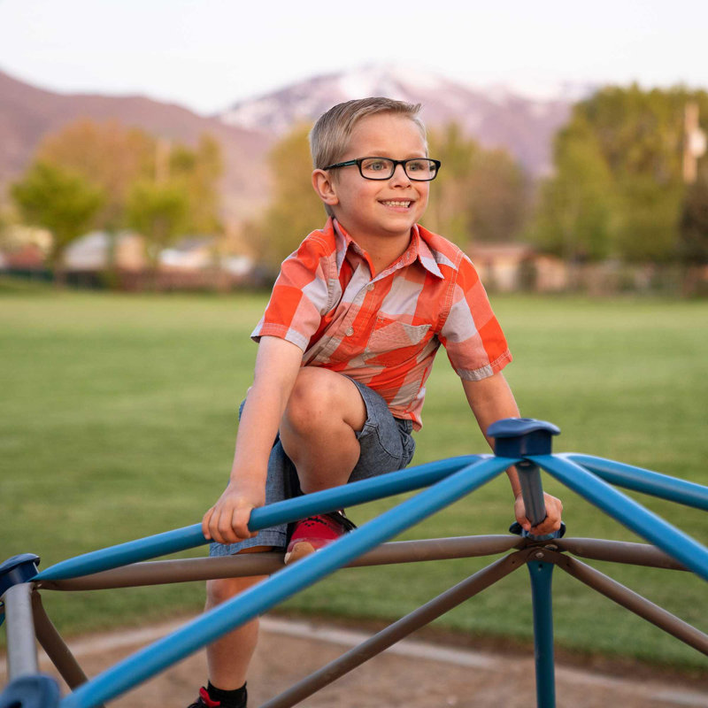 Lifetime 4.5 ft. Blue and Brown Steel Dome Climber