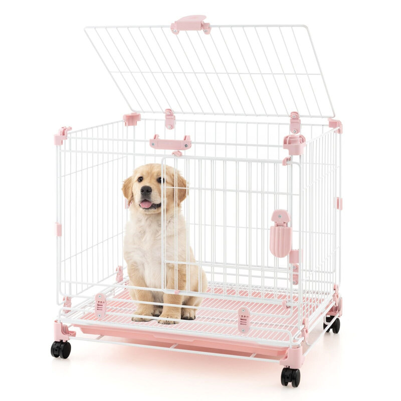 Hunnewell Pet Crate