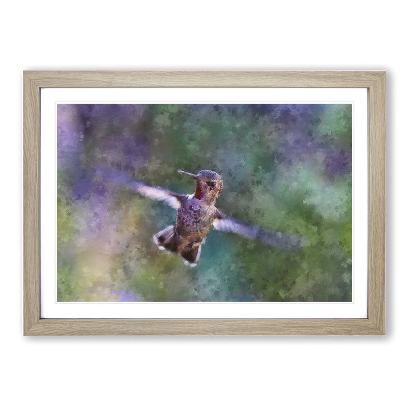 Hummingbird Vol.2 - Picture Frame Graphic Art, 48cm H x 65cm W x 2cm D, Oak Framed