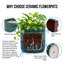 Ensemble de 3 pots à fleurs faits à la main en céramique vert et vert, glacis réactif artisanal pour plantes grasses et herbes-1154403678