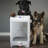 EyeVac Pet Touchless Vacuum-92409278